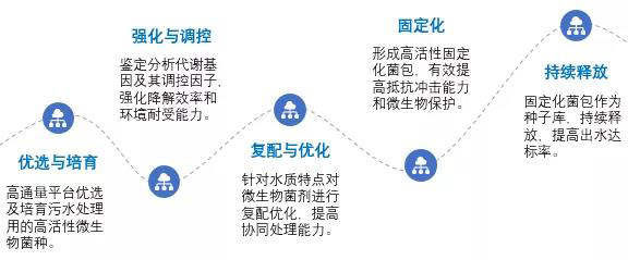 2024新澳门历史记录查询网站