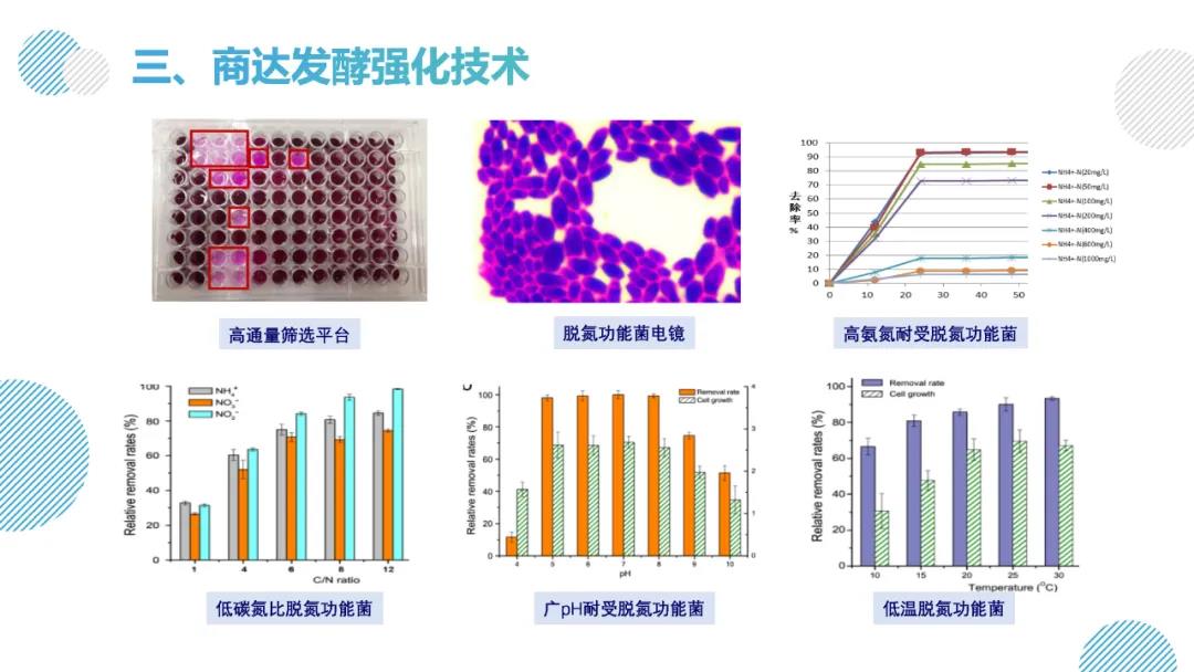 2024新澳门历史记录查询网站