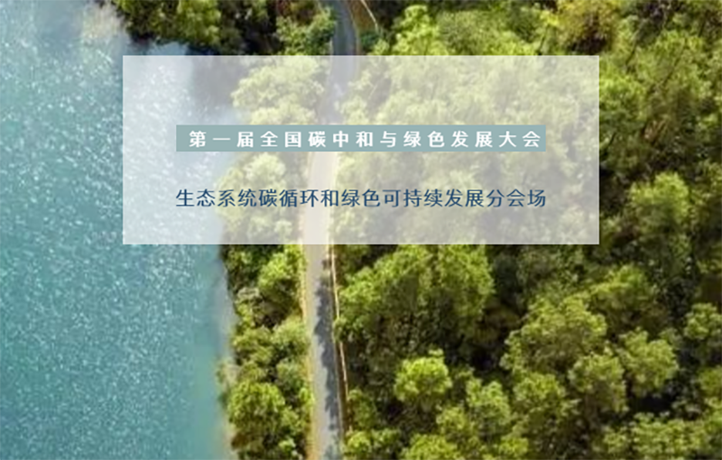 2024新澳门历史记录查询网站