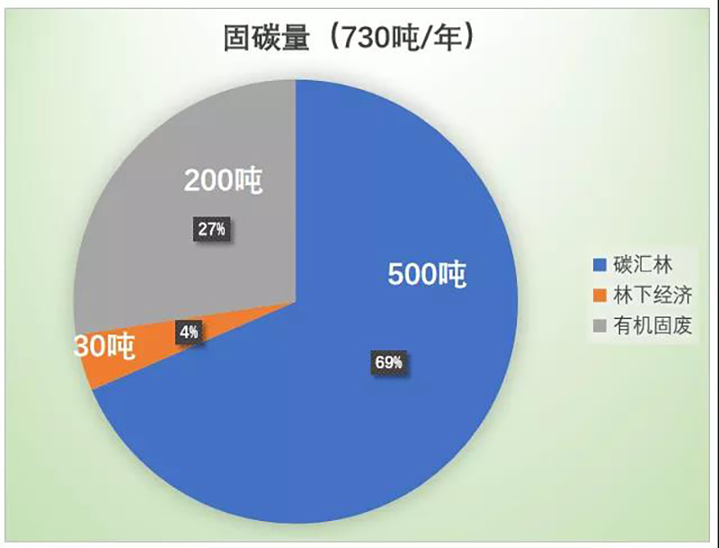 2024新澳门历史记录查询网站