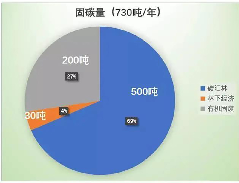 2024新澳门历史记录查询网站