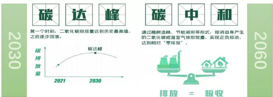 2024新澳门历史记录查询网站