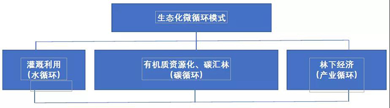 2024新澳门历史记录查询网站