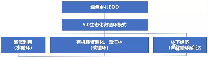 2024新澳门历史记录查询网站