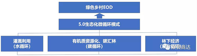 2024新澳门历史记录查询网站