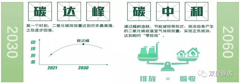 2024新澳门历史记录查询网站