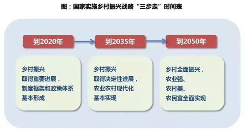 2024新澳门历史记录查询网站