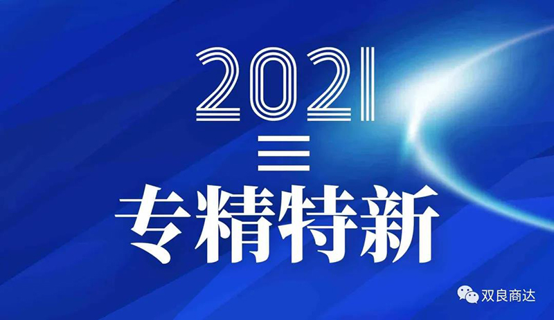 双良商达入选浙江省“专精特新”企业名单