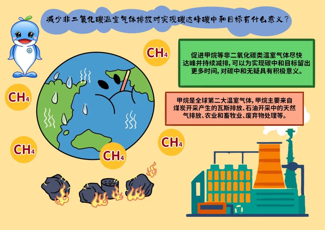 2024新澳门历史记录查询网站