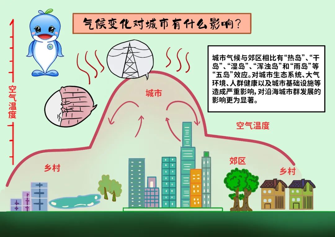 2024新澳门历史记录查询网站