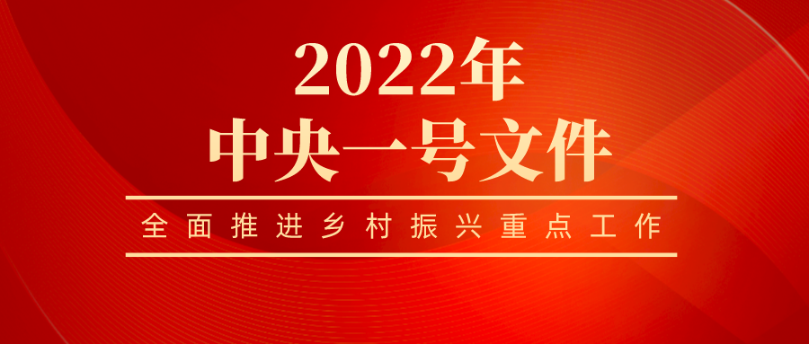 国新办发布会解读中央一号文件：乡村振兴求好不求快