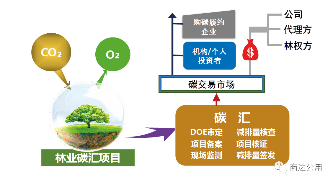 2024新澳门历史记录查询网站