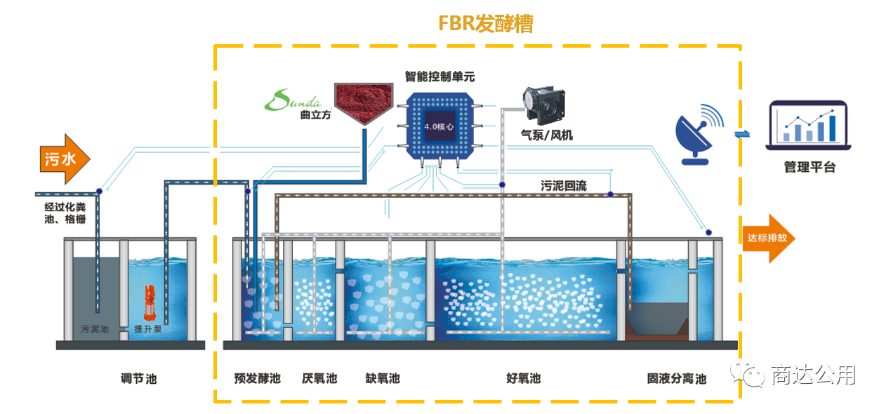 2024新澳门历史记录查询网站