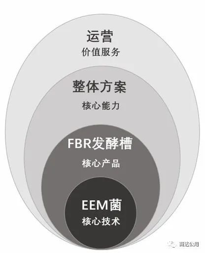 2024新澳门历史记录查询网站